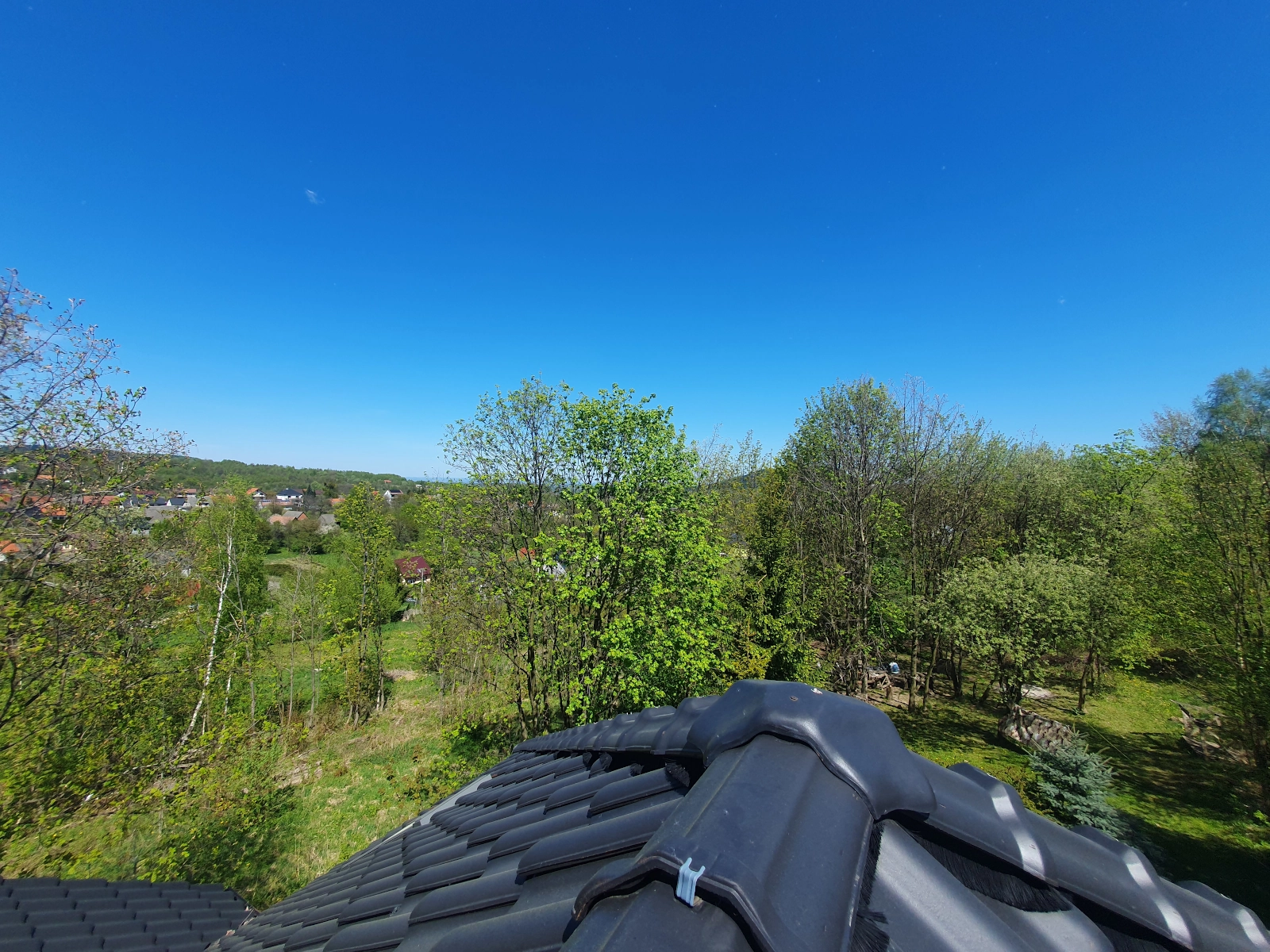 The view from the roof